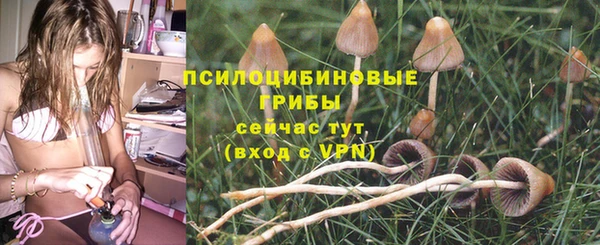 винт Горняк