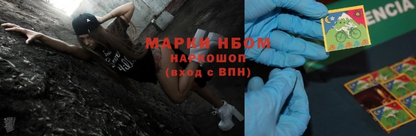 прущие грибы Горнозаводск