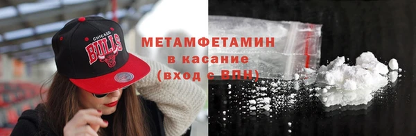 прущие грибы Горнозаводск