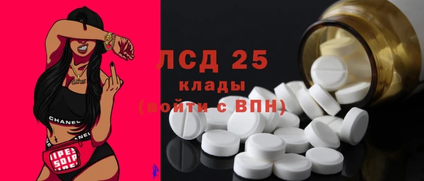 прущие грибы Горнозаводск