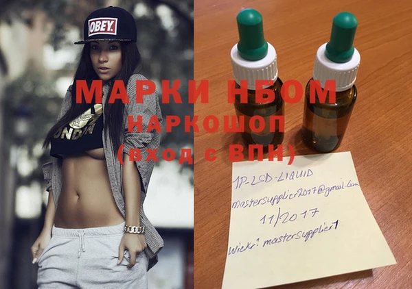 прущие грибы Горнозаводск