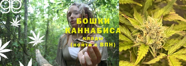 прущие грибы Горнозаводск