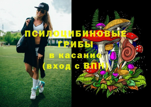 прущие грибы Горнозаводск