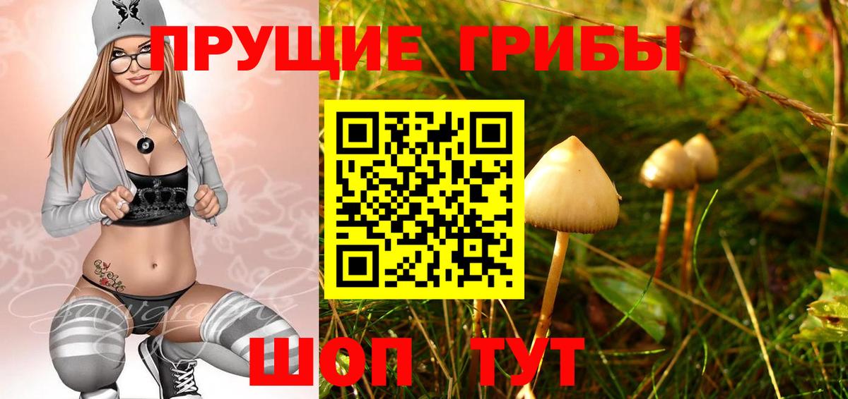 Дальнереченск  Псилоцибиновые грибы Cubensis  Галлюциногенные грибы мицелий  Вход с VPN 