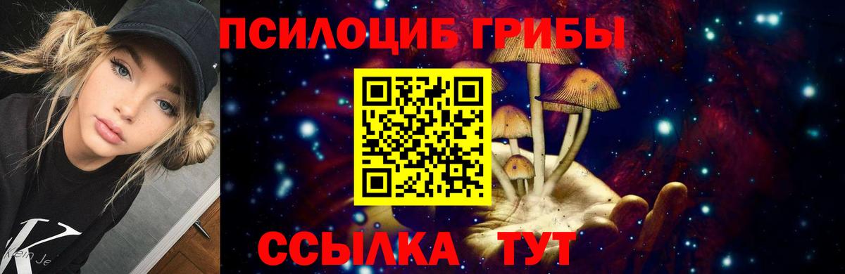 Галлюциногенные грибы Psilocybe Дальнереченск